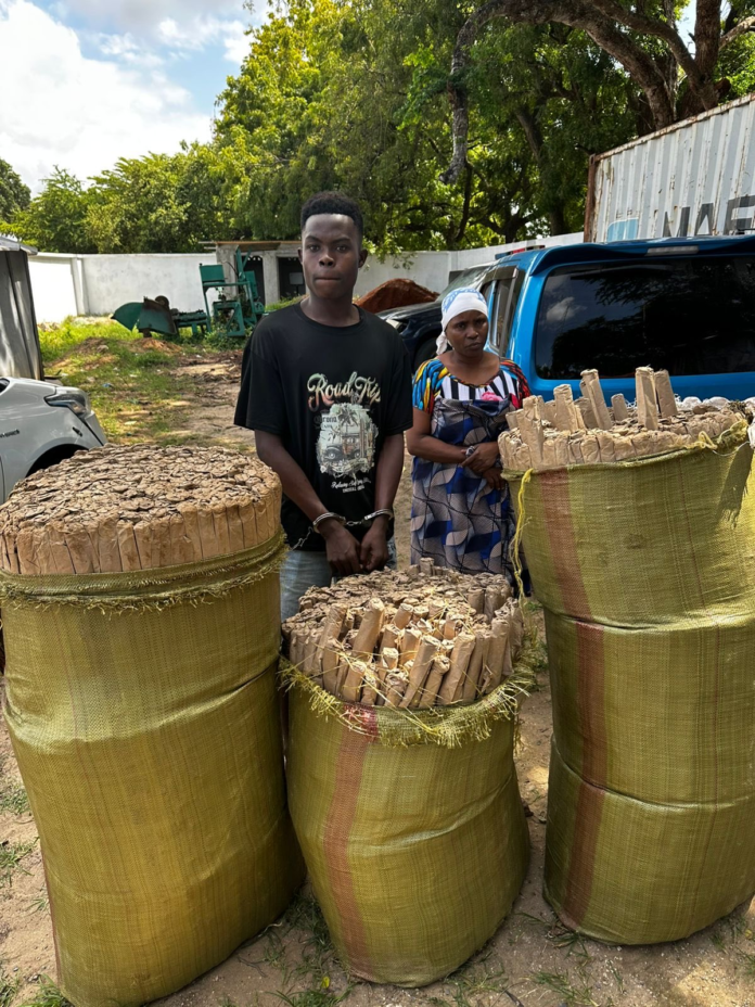 DCI Arrests Two in Kilifi, Seizes Cannabis Worth Sh4.2 Million DCI detectives in Kilifi have arrested two suspects and recovered 142kg of cannabis valued at Sh4.2 million during an anti-narcotics operation.