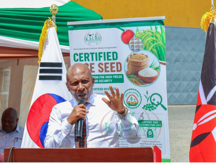 KALRO has launched a rice seed processing complex in Kirinyaga aimed at boosting certified seed production and reducing rice imports.