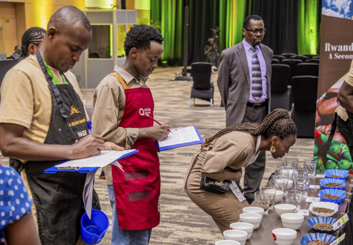 China Coffee Market Access China will grant market access to eligible coffee beans from 53 African countries from July 20, 2026, creating new export opportunities for African coffee producers.