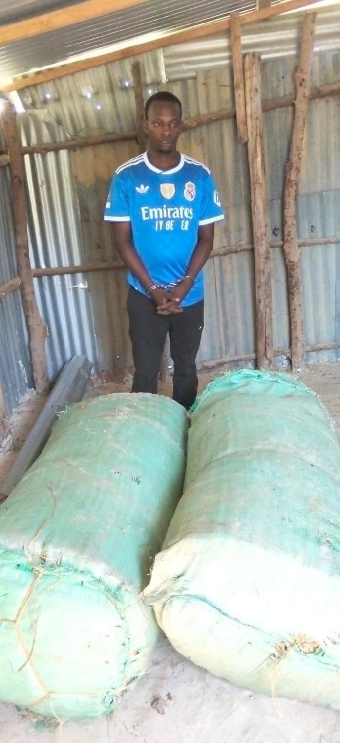 image DCI detectives arrest two suspects and seize 250kg of cannabis in Mombasa. Operation highlights anti-narcotics crackdown on trafficking networks.