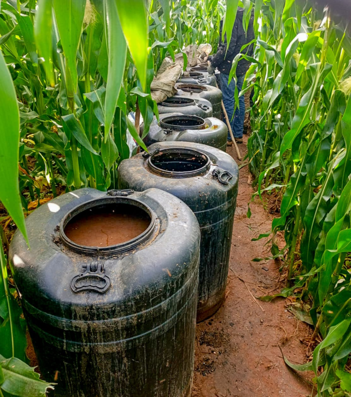 image Multi-county police operations in Kenya net arrests and seize thousands of litres of illicit brews and narcotics in intensified crackdown.