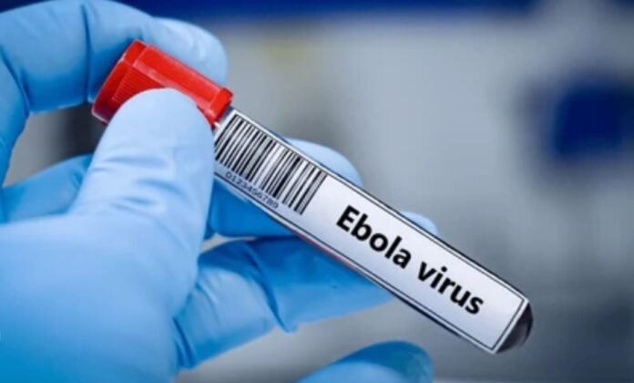 ebola virus Ebola cases in the DRC have risen to 515 with 91 deaths recorded, as health authorities intensify containment efforts in affected provinces.