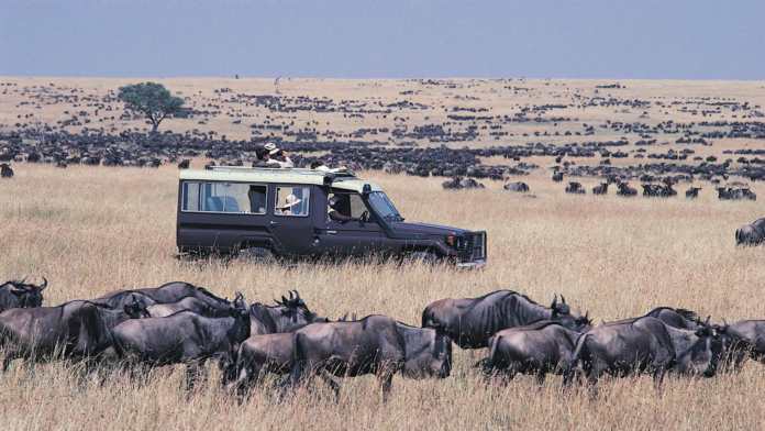 Mandera wildlife compensation payout A Mandera family has received Sh770,000 in outstanding wildlife compensation after Ombudsman intervention resolved a years-long payment delay.