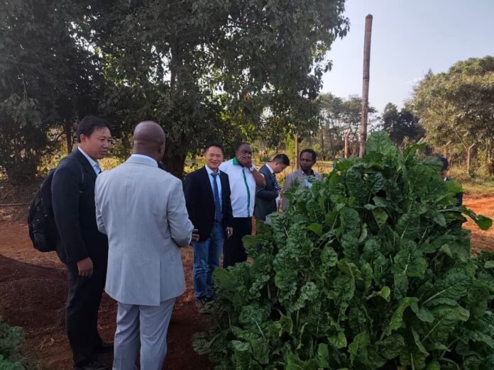 KALRO China Agricultural Research Centre KALRO and the Chinese Academy of Agricultural Sciences are exploring a strategic partnership to establish a Kenya-China Agricultural Research Centre aimed at boosting research, innovation, technology transfer and food security.