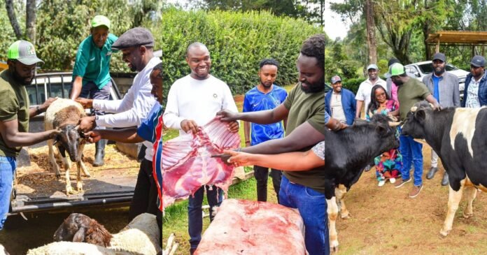 Senator John Methu will host a major Ol Kalou victory celebration after DCP’s Sammy Waweru defeated UDA’s Samuel Muchina in a landslide by-election win.