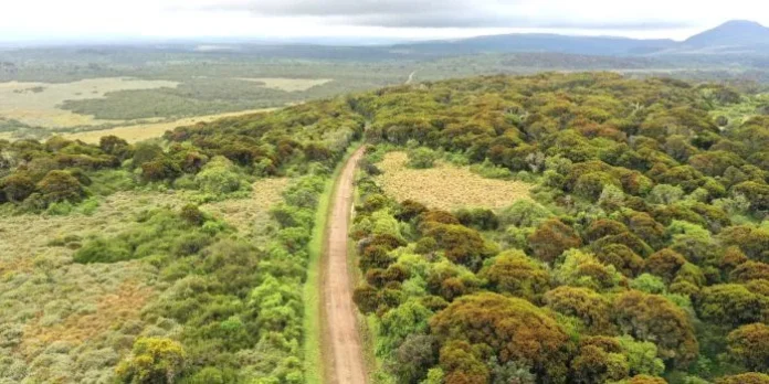 abedare road.jpg