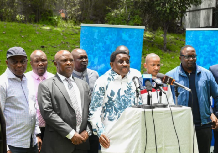 Linda Mwananchi lifestyle audits Linda Mwananchi marks Saba Saba by calling for lifestyle audits, transparency and accountability over multi-million-shilling donations made by state officers.