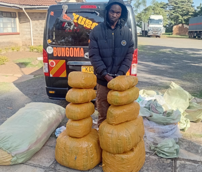 Webuye cannabis arrest DCI officers arrest a passenger after recovering 100kg of cannabis worth about Sh3 million from a PSV along the Webuye-Eldoret Highway.