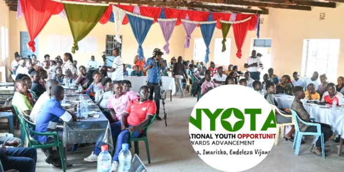 NYOTA has showcased young entrepreneurs transforming their businesses through grants as the government launches a Sh3.06 billion second phase.