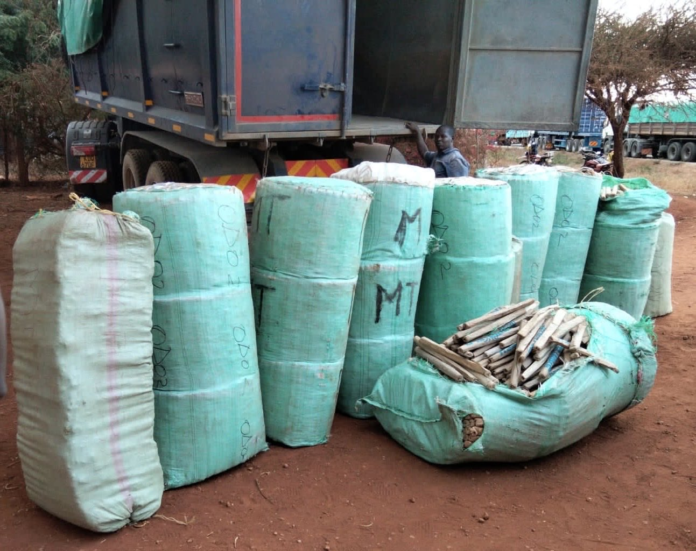 DCI detectives have seized cannabis worth Sh24.7 million in Voi and arrested two suspects after intercepting a trailer carrying 825 kilograms of the drug.