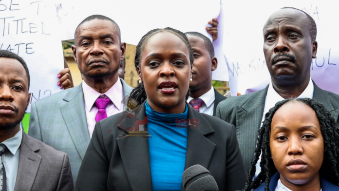 Lawyer Martina Swiga Gatoto Primary School case Lawyer Martina Swiga says her clients will appeal the High Court ruling on the ownership and management of Gatoto Community Primary School, arguing the judgment was unjust.