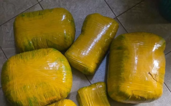 Police officer arrested over cannabis A police officer has been arrested after detectives recovered 20 kilograms of suspected cannabis sativa during a raid on his residence in Dagoretti, Nairobi.