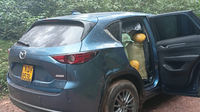 DCI anti-narcotics operations Police have recovered cannabis worth KSh13.4 million and arrested several suspects during intelligence-led anti-narcotics operations in Nandi, Kiambu and Kisii counties.