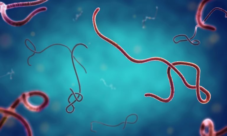 Bundibugyo virus in Kenya